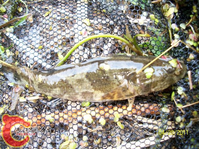 100_4172.jpg
