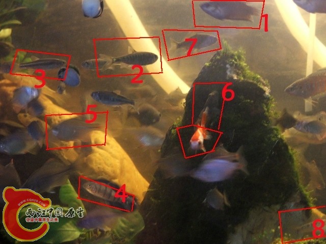 4d.jpg