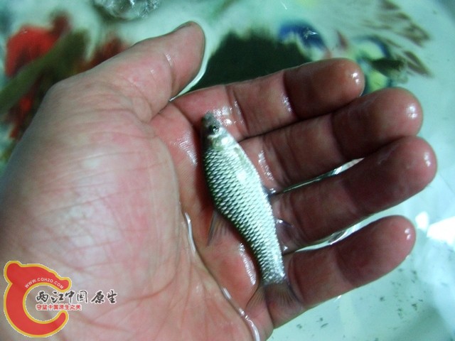 04.jpg