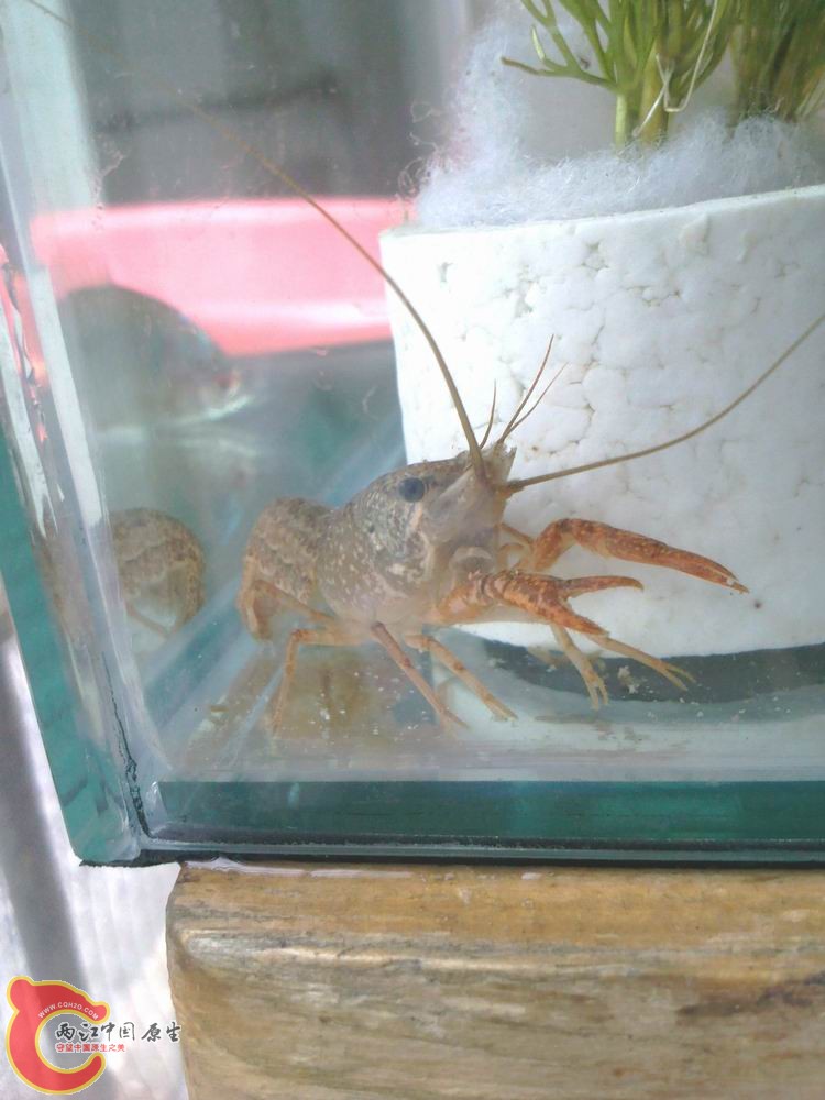 照片146.jpg