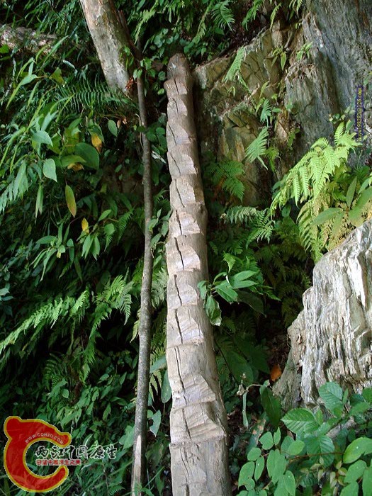 DSCF0060.jpg