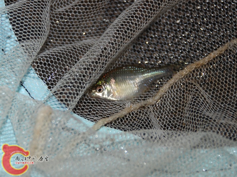DSC_0429.JPG