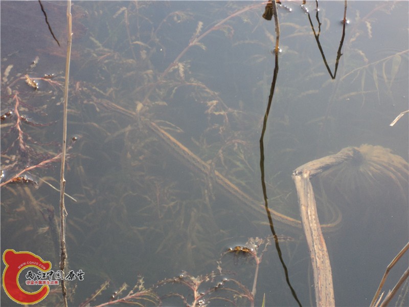 DSC00885_副本.jpg