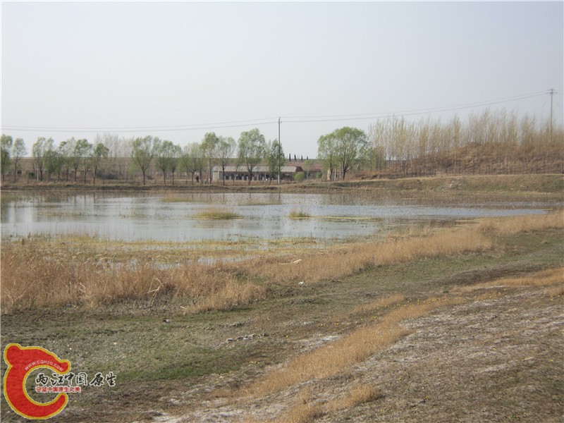DSC00887_副本.jpg