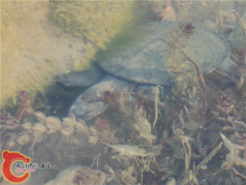 DSC00888_副本.jpg