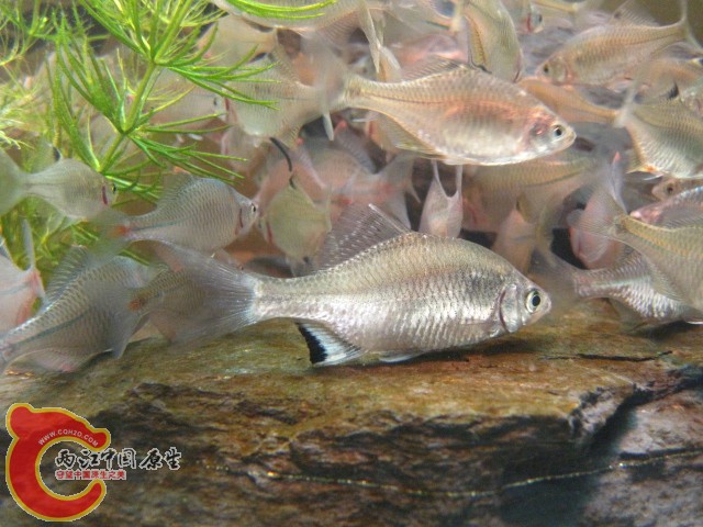 照片 1054.jpg