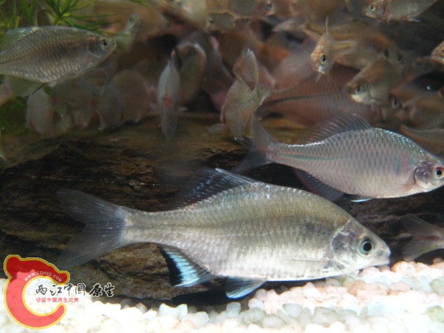 照片 1053.jpg