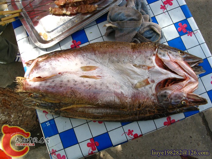 IMG (1072).jpg