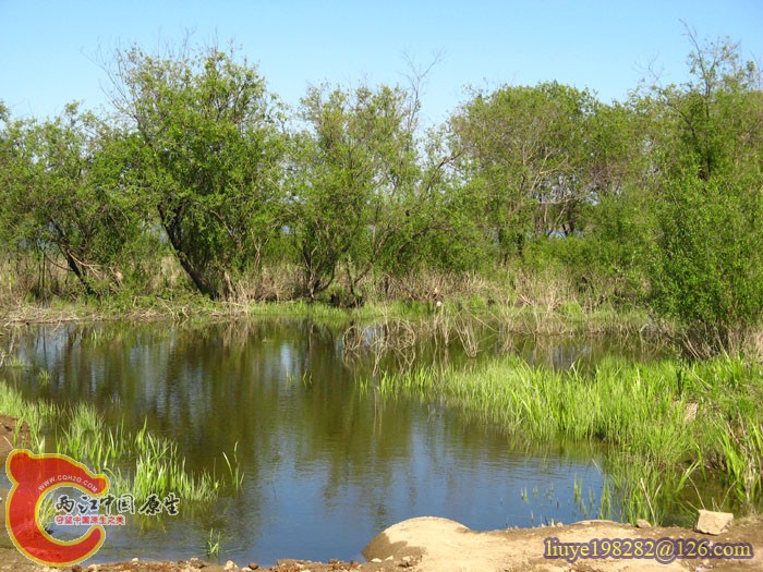 IMG (1092).jpg