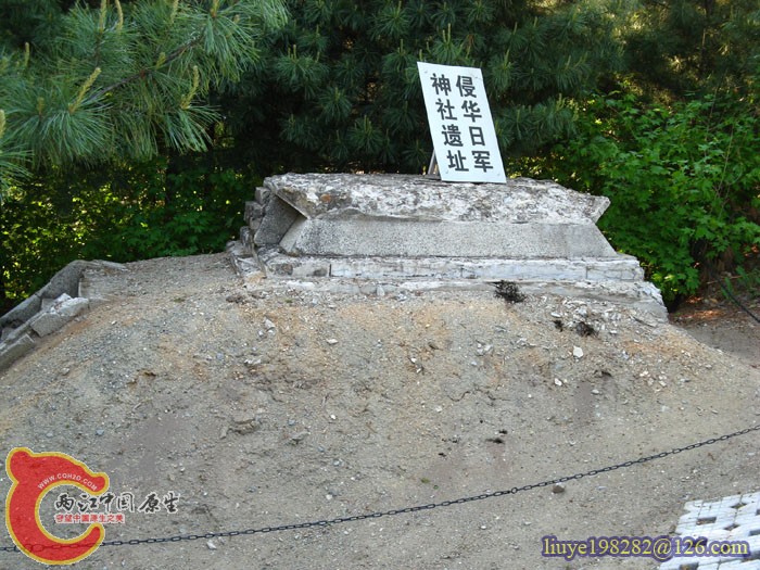 IMG (1675).jpg