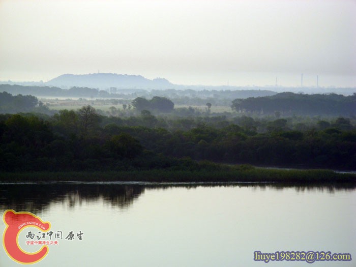 IMG (1881).jpg