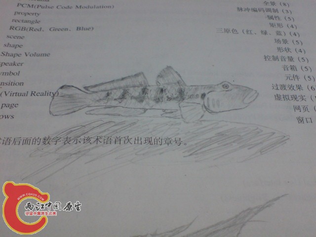 DSC00395.JPG