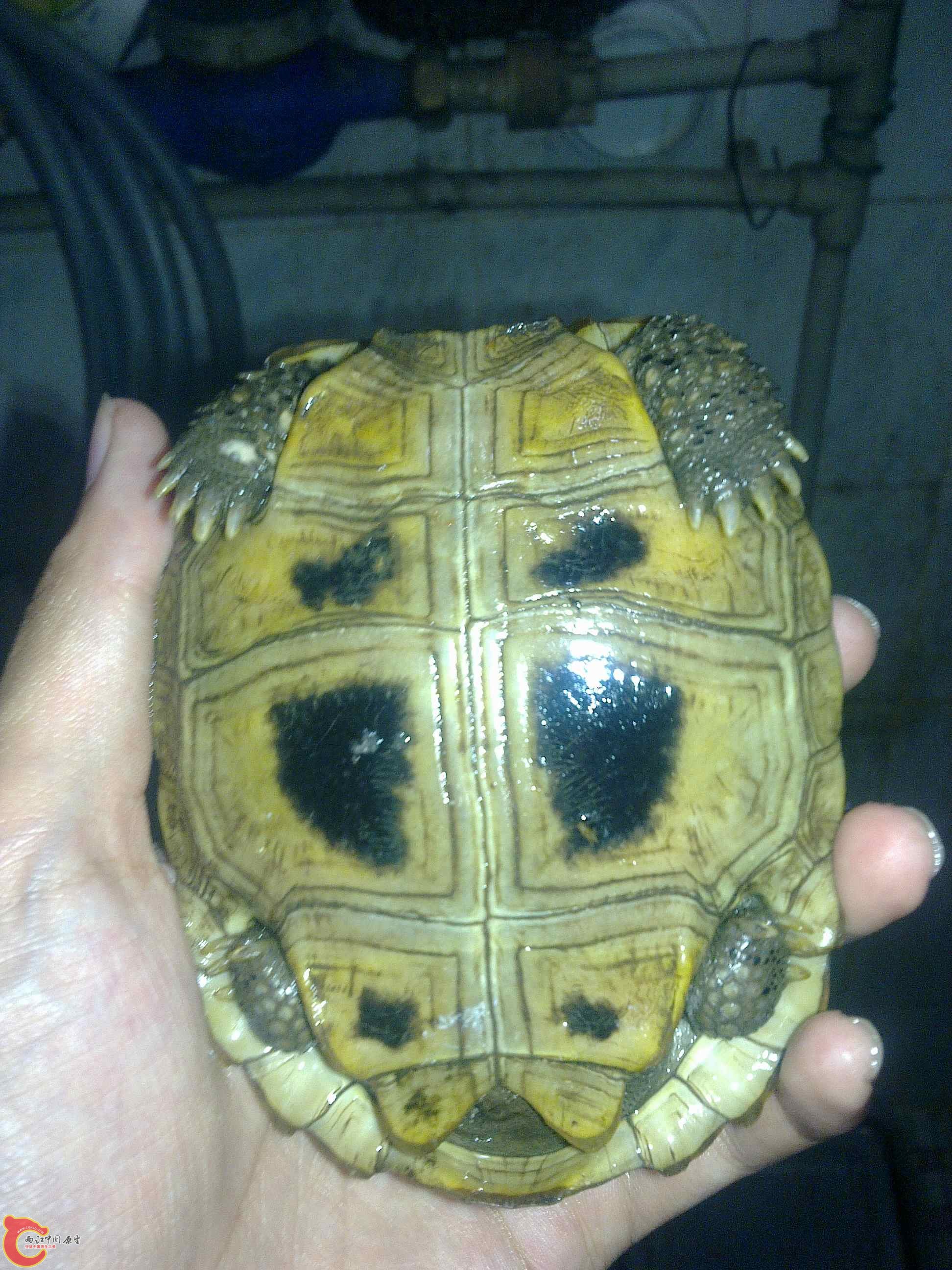 20110419479.jpg