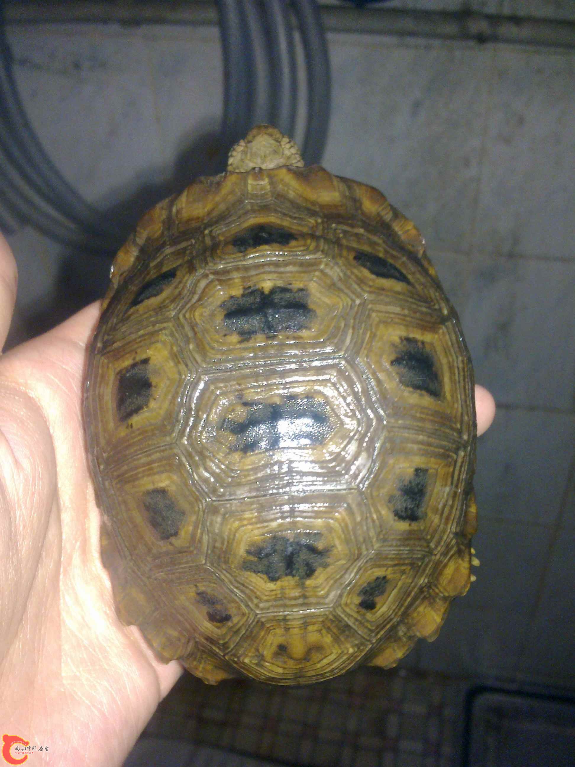 20110419480.jpg