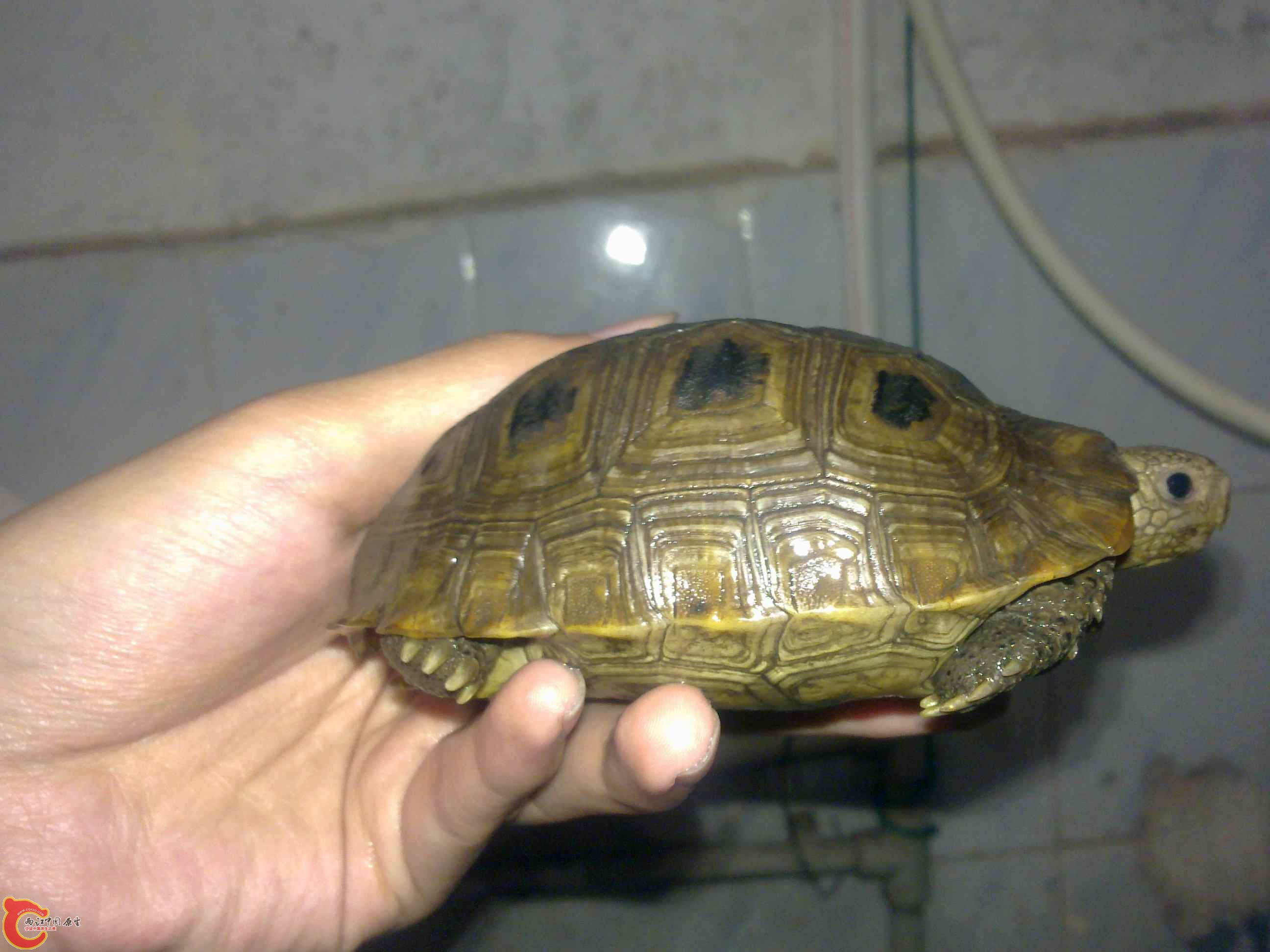 20110419481.jpg