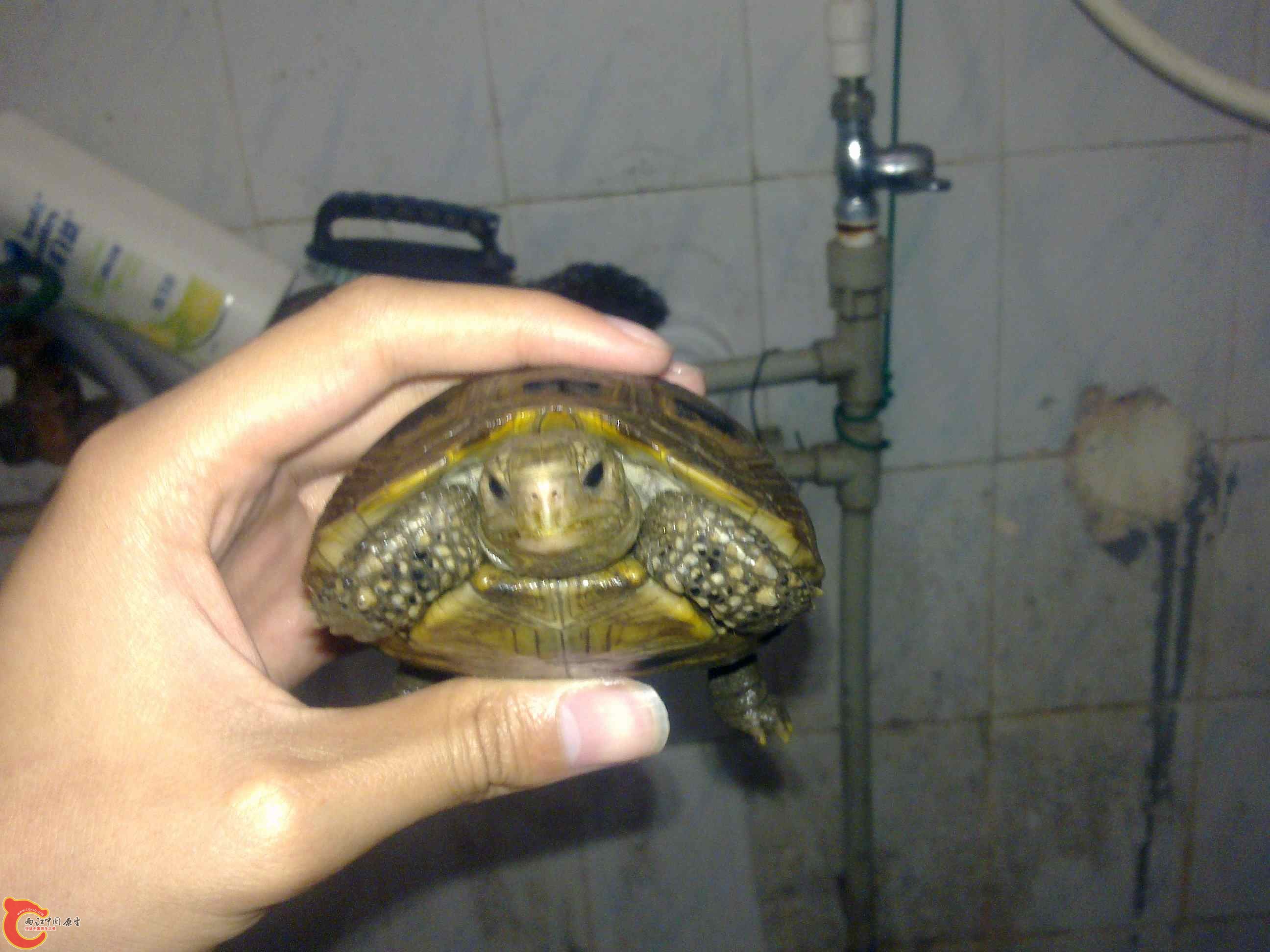 20110419482.jpg