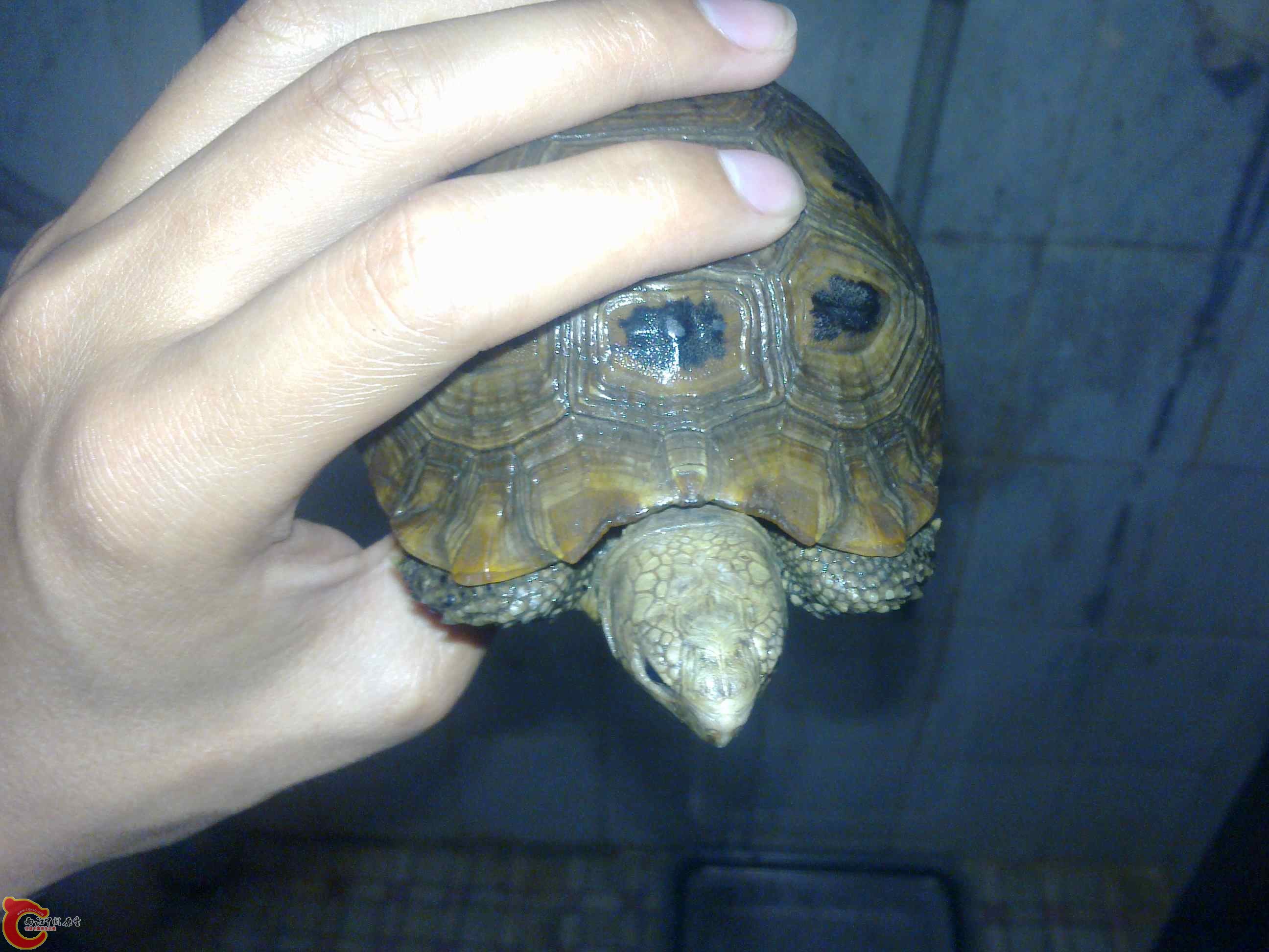 20110419483.jpg