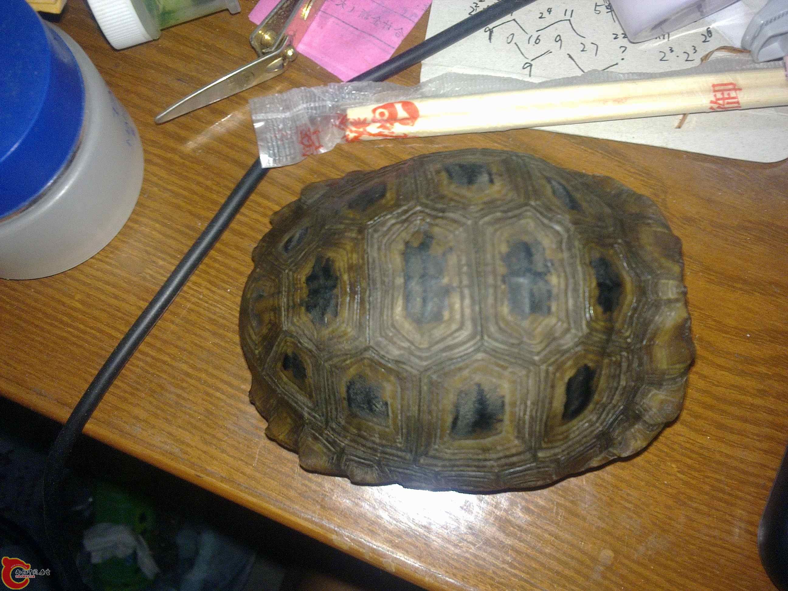 20110419487.jpg