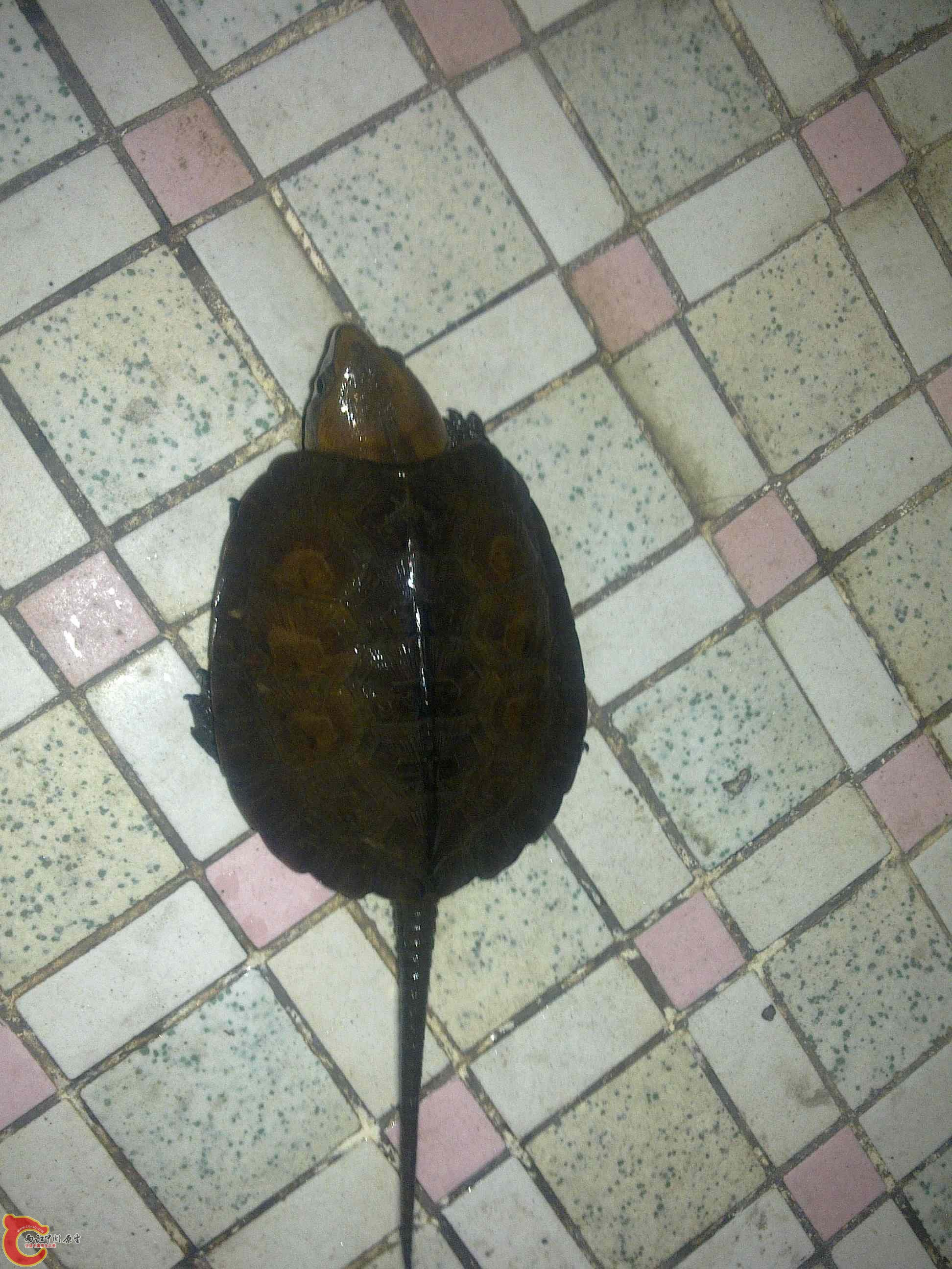 20110426502.jpg