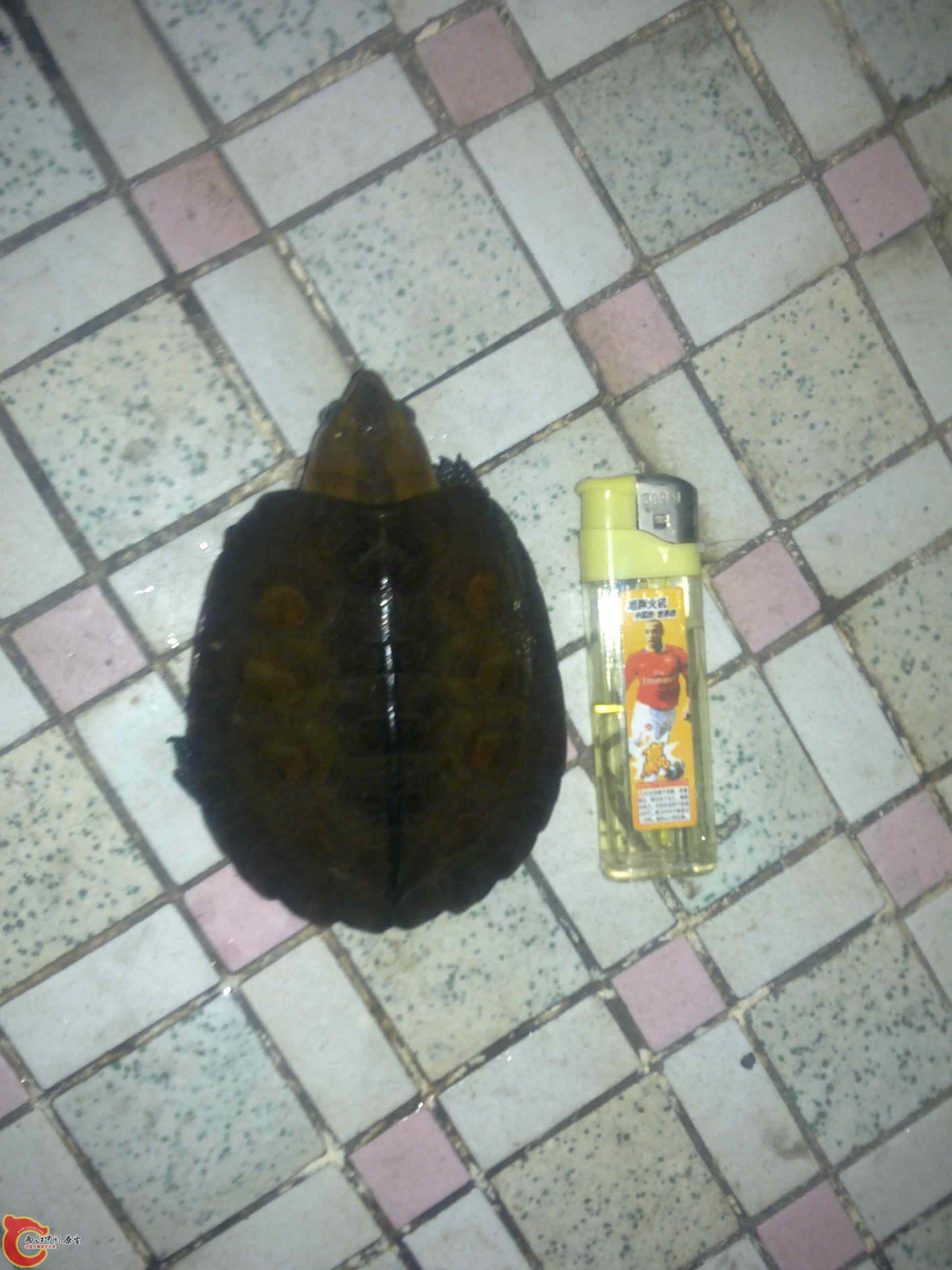 20110426503.jpg
