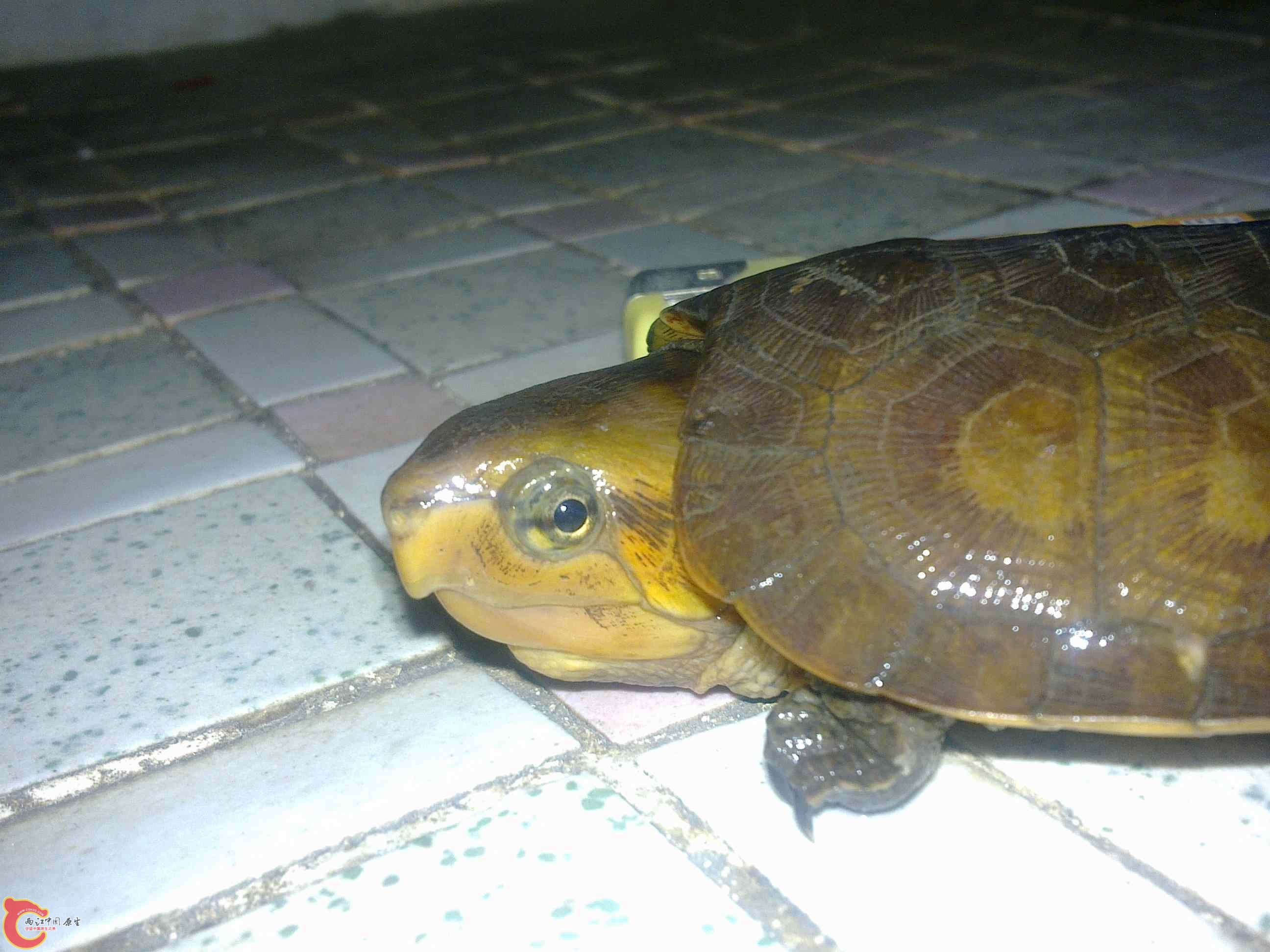 20110426504.jpg