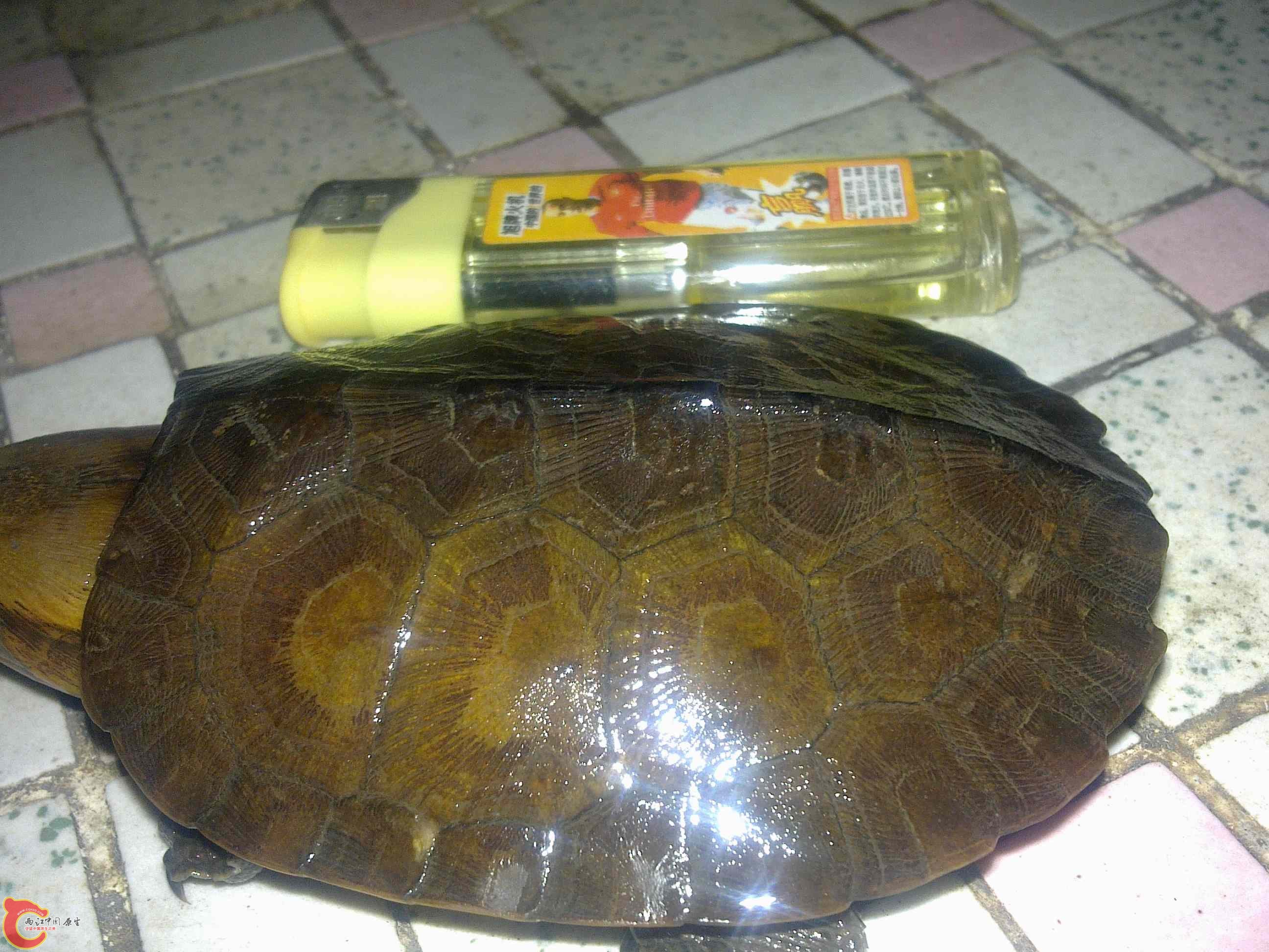 20110426505.jpg