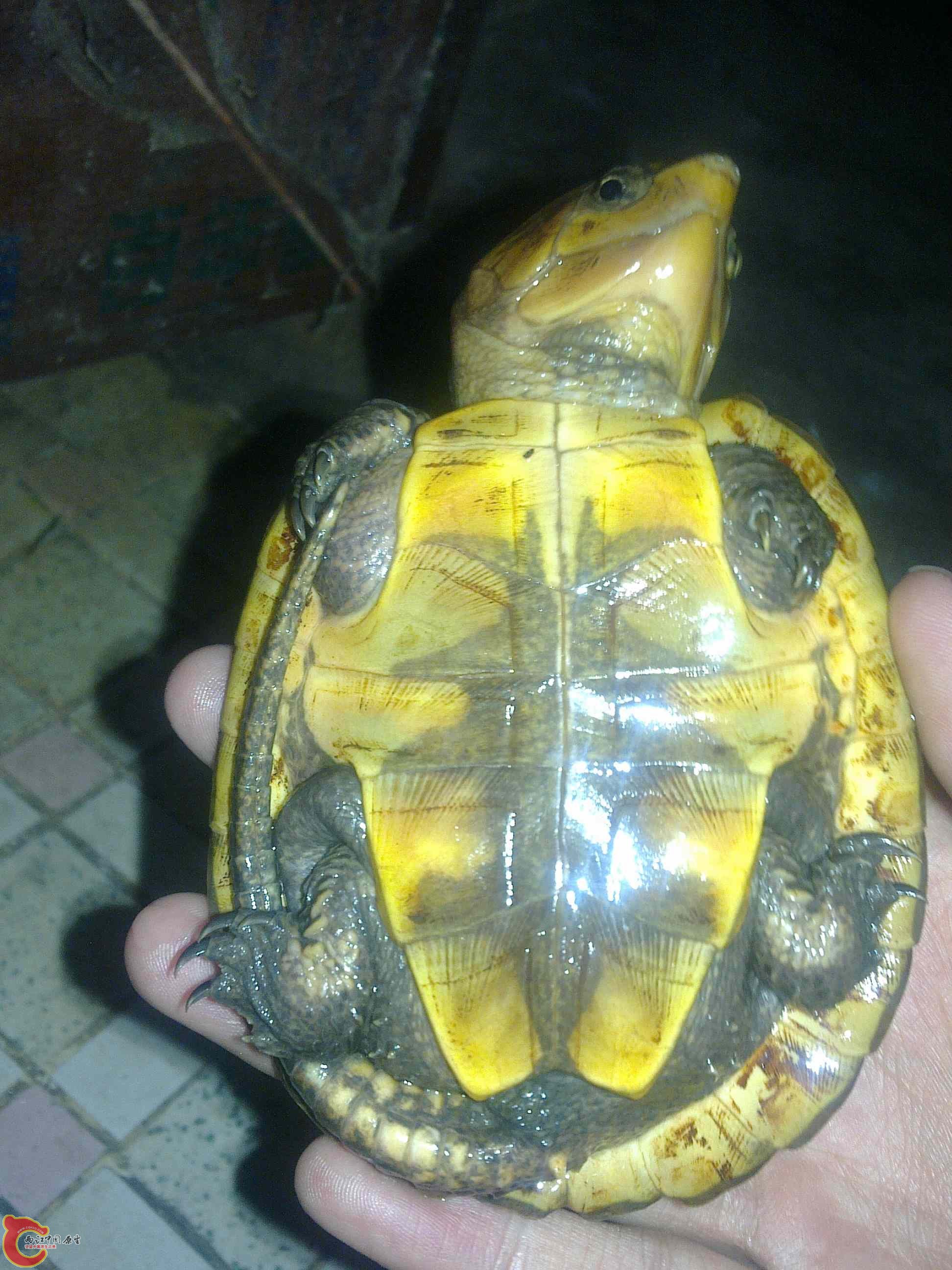 20110426506.jpg