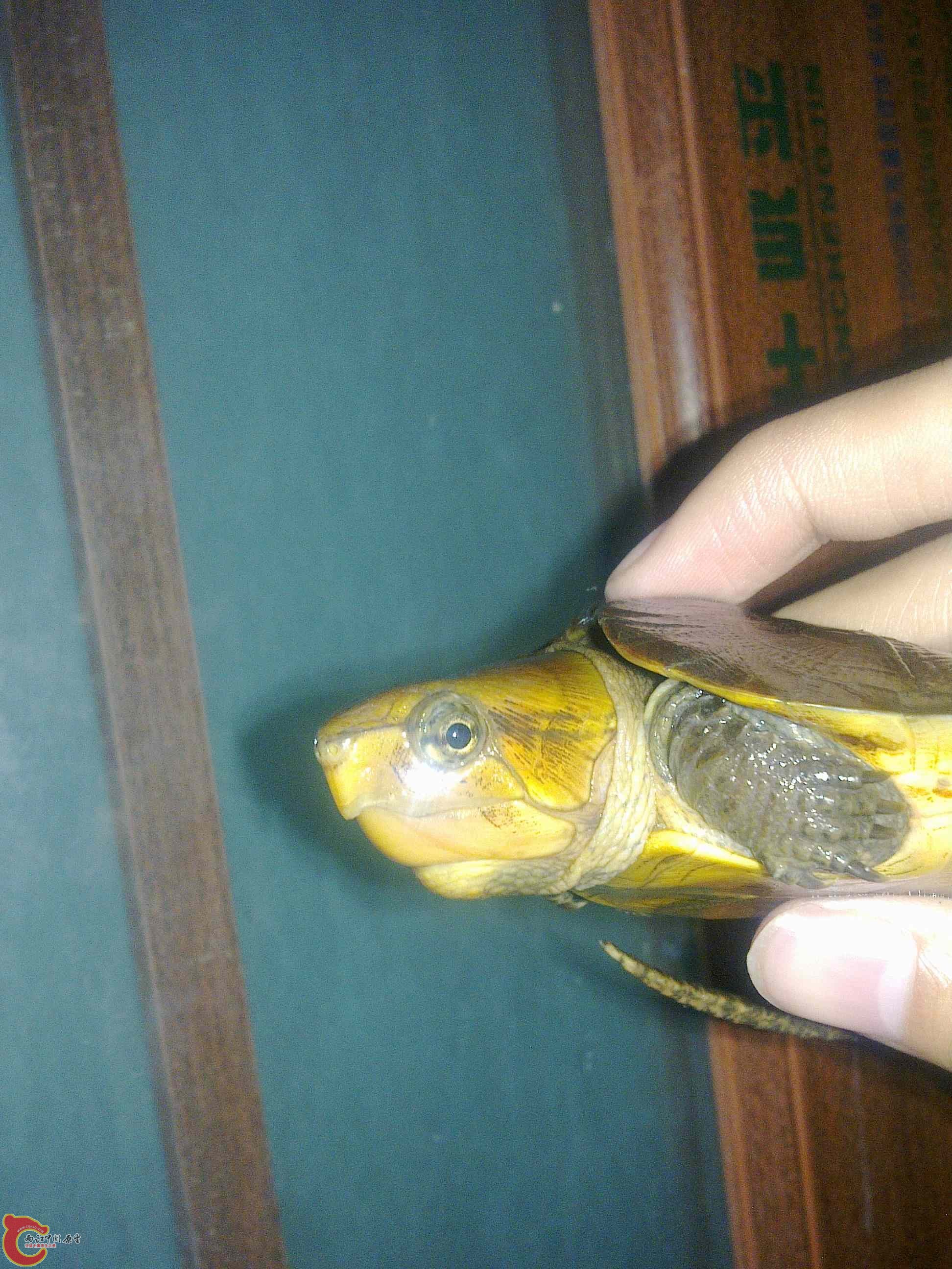 20110426509.jpg