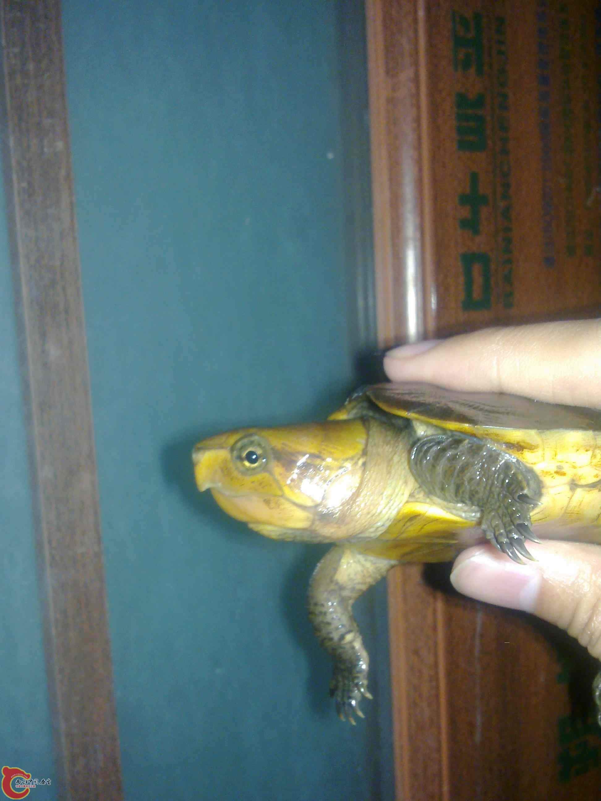 20110426510.jpg