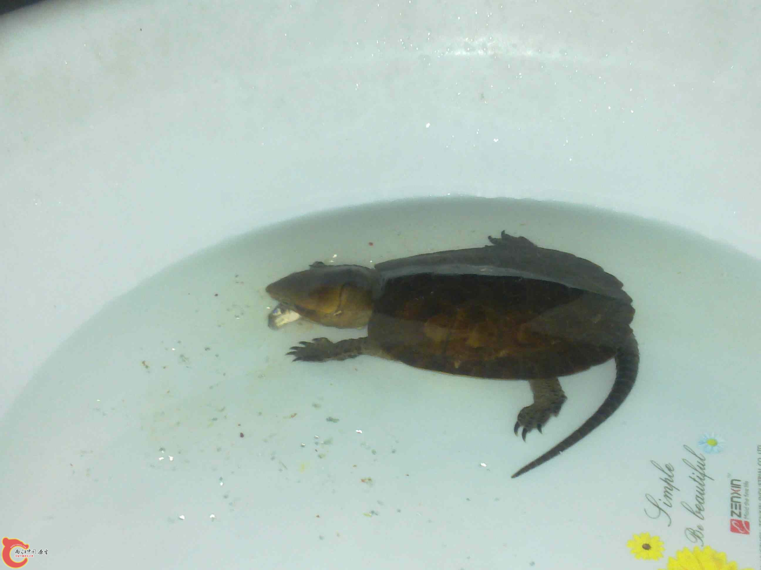 20110507547.jpg