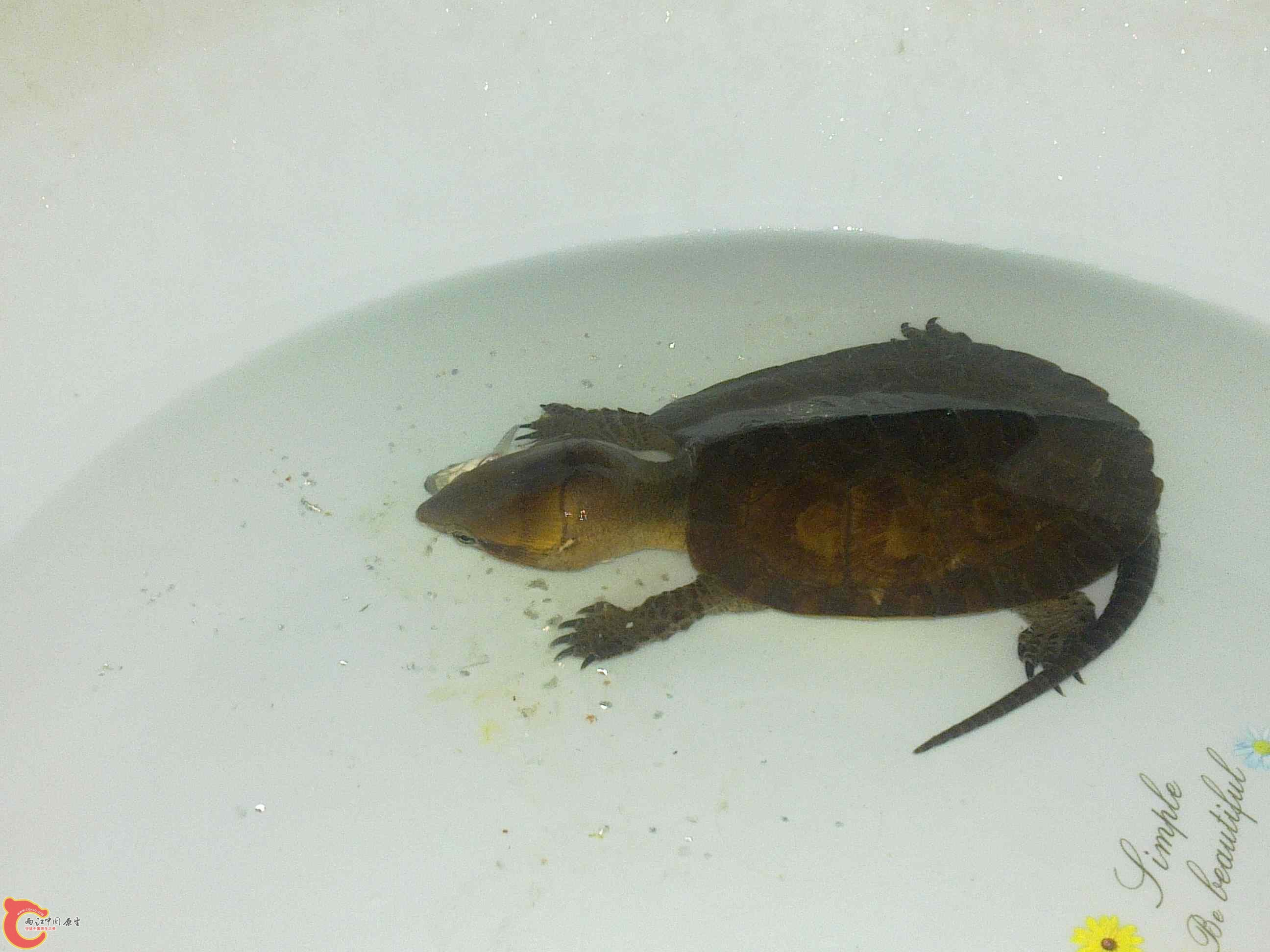 20110507544.jpg
