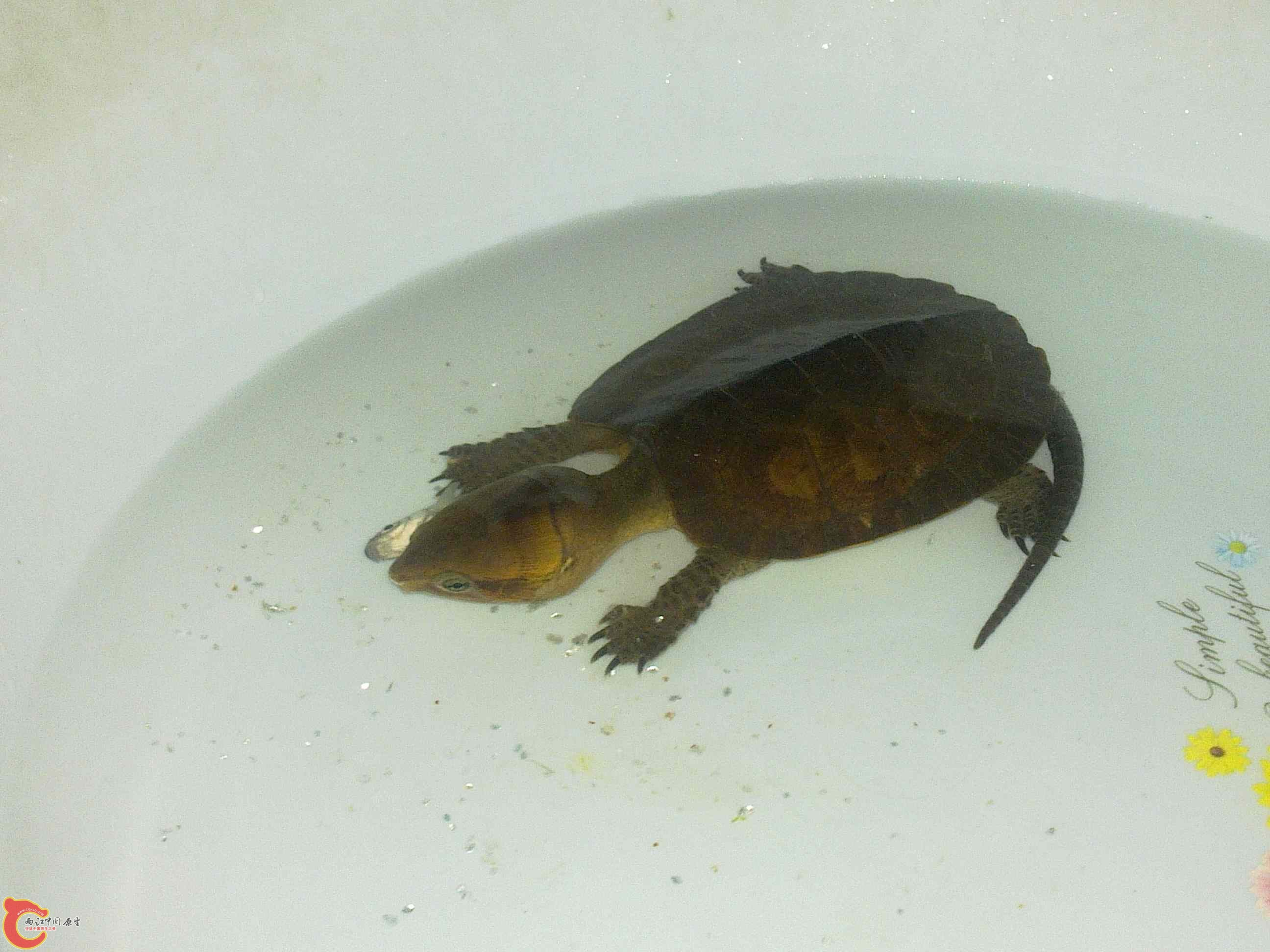 20110507545.jpg