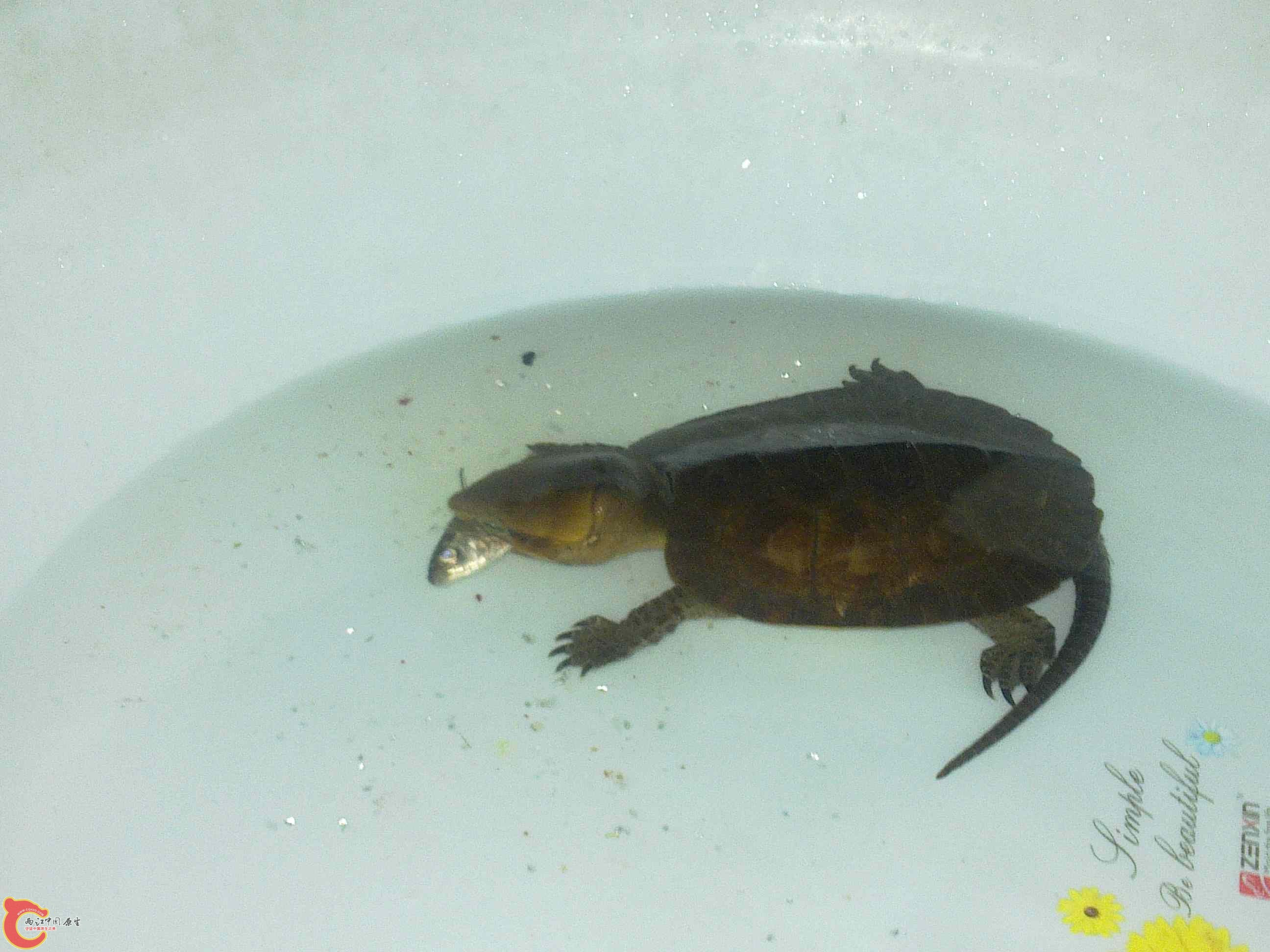 20110507546.jpg