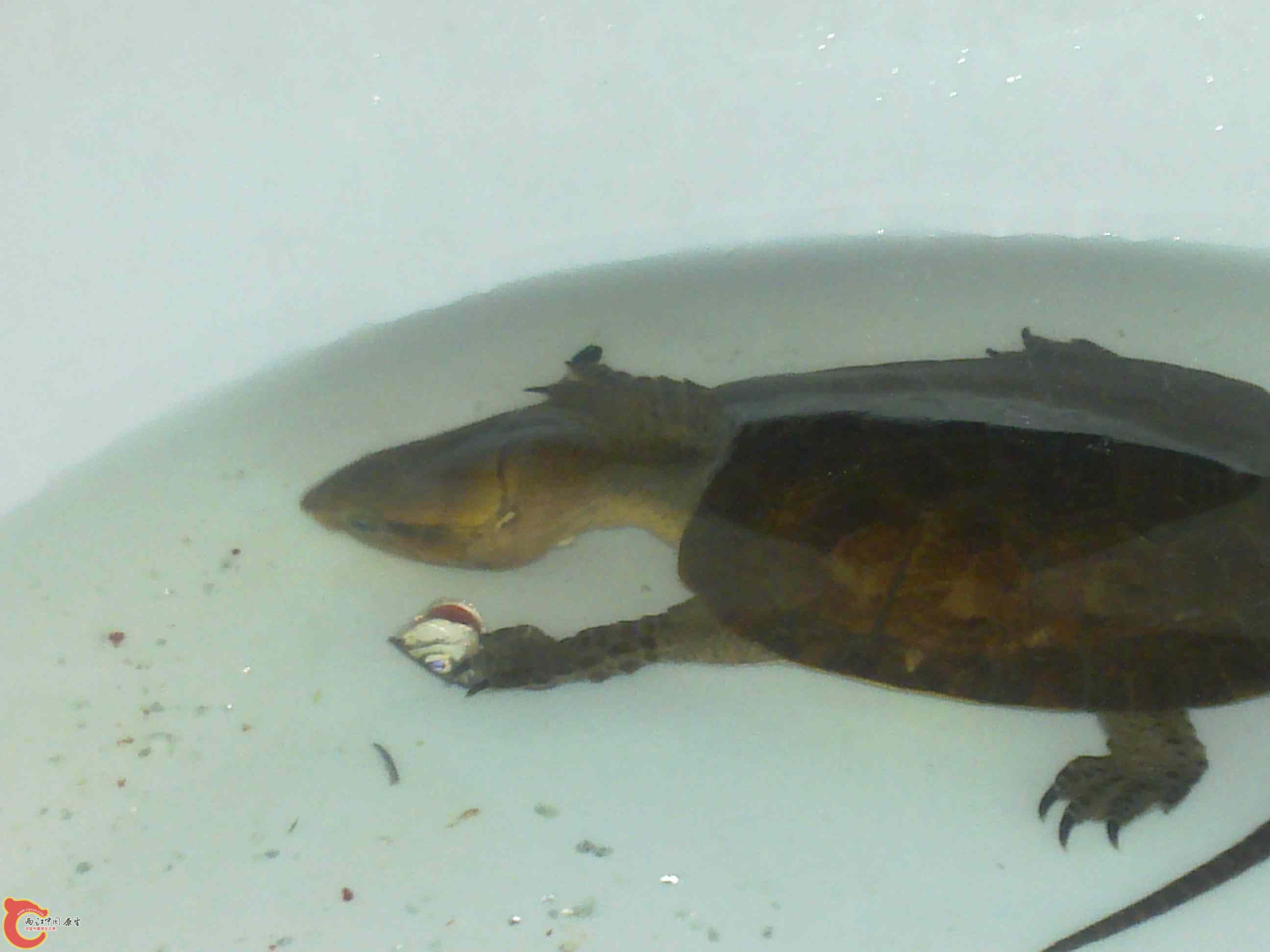 20110507548.jpg