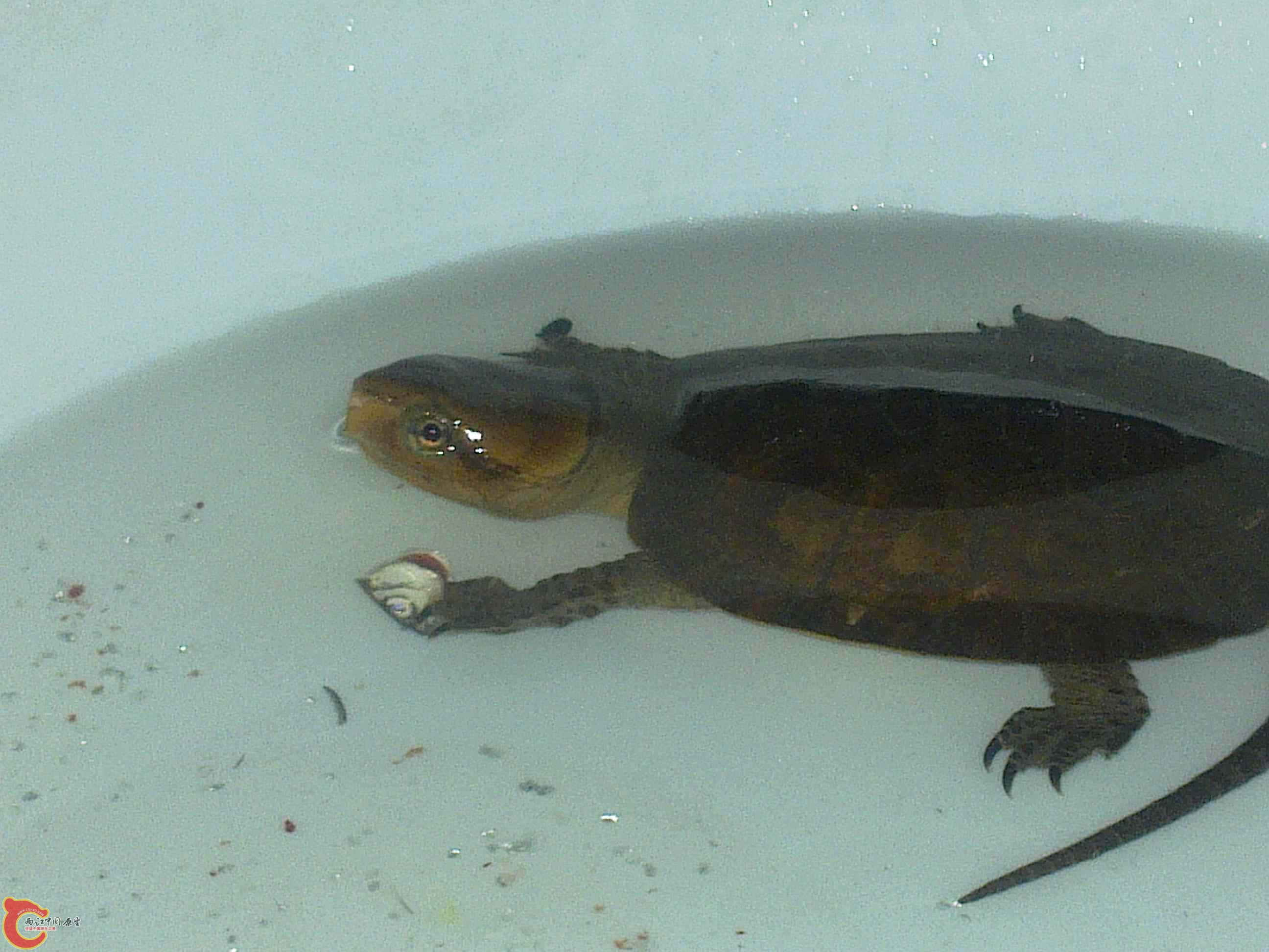 20110507549.jpg