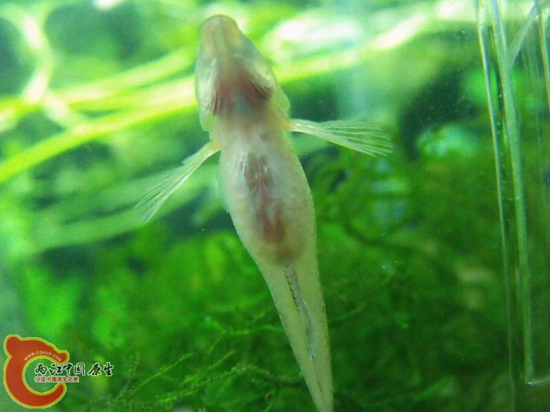 会有的。。只要心还在。。