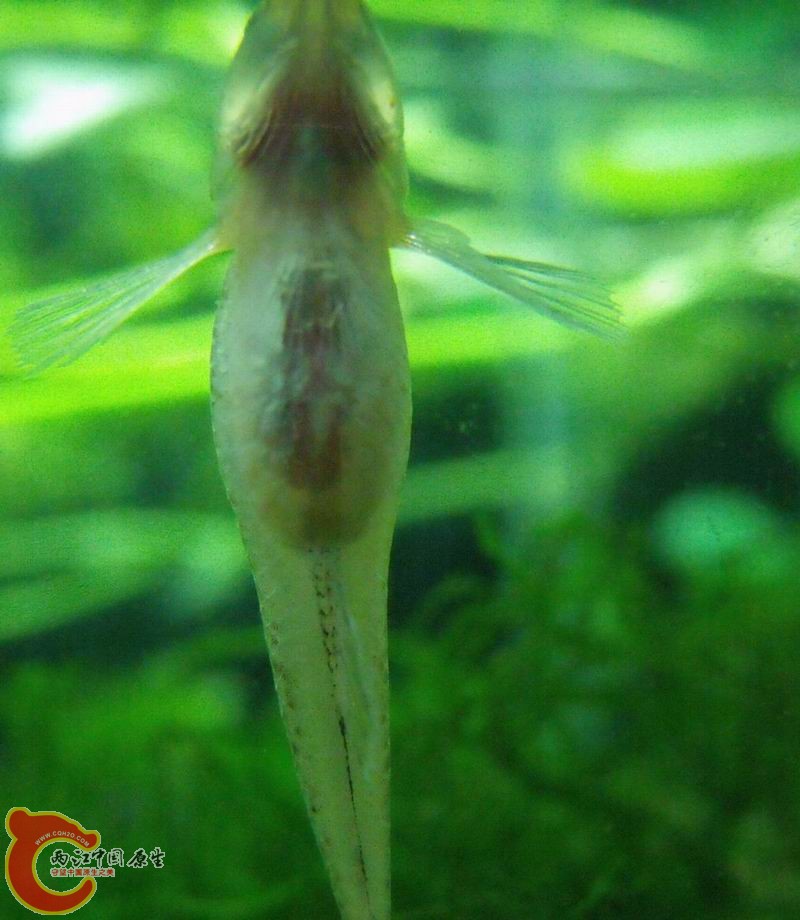 请让我待会。。。