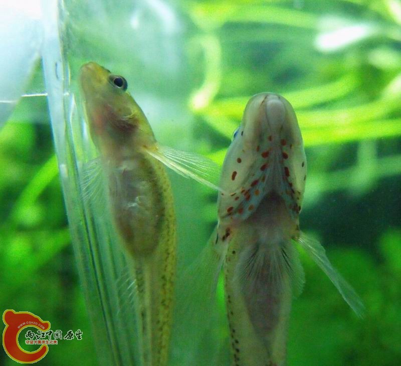 近在只尺。。去形同路人。。