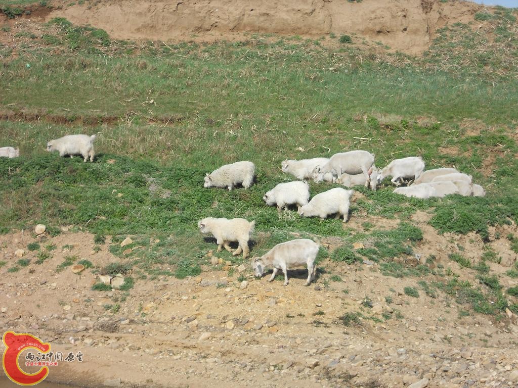 DSCN0160.jpg