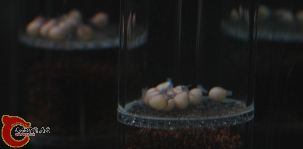 2011050801.jpg