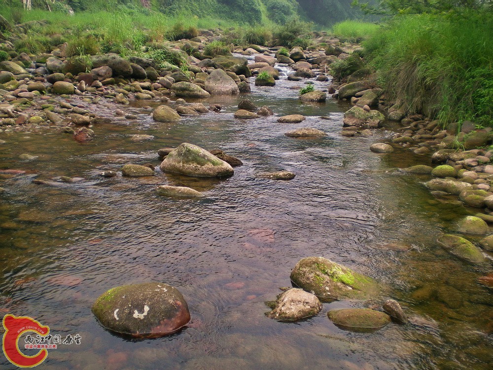 DSCN3107.jpg