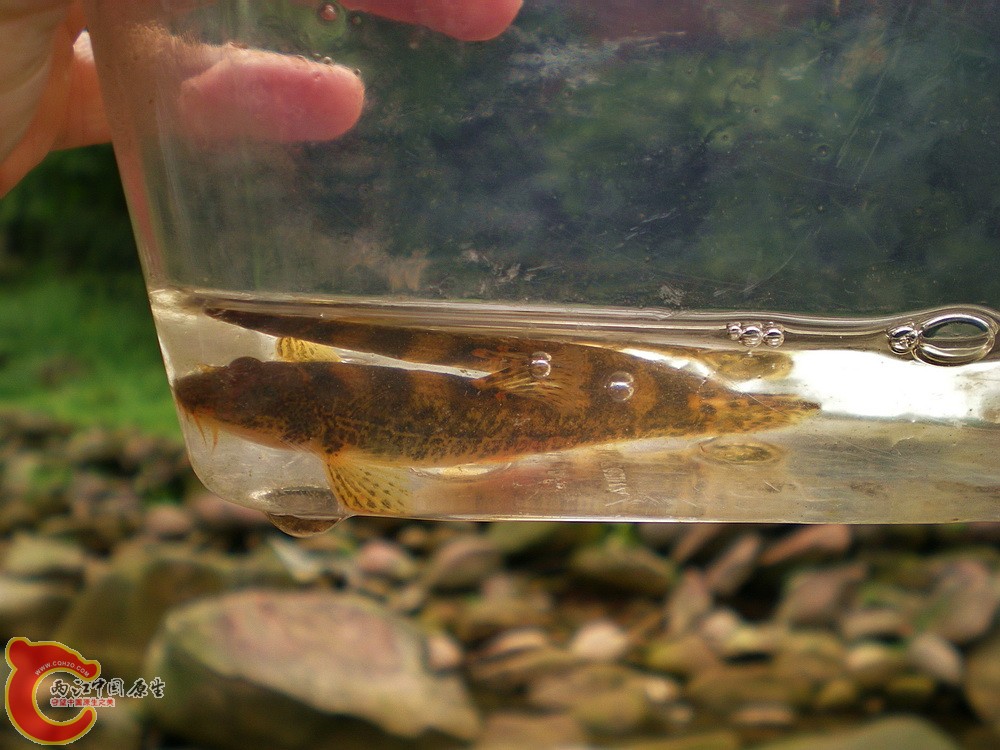 DSCN3059.jpg