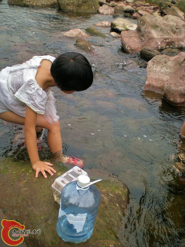 DSCN3066.jpg