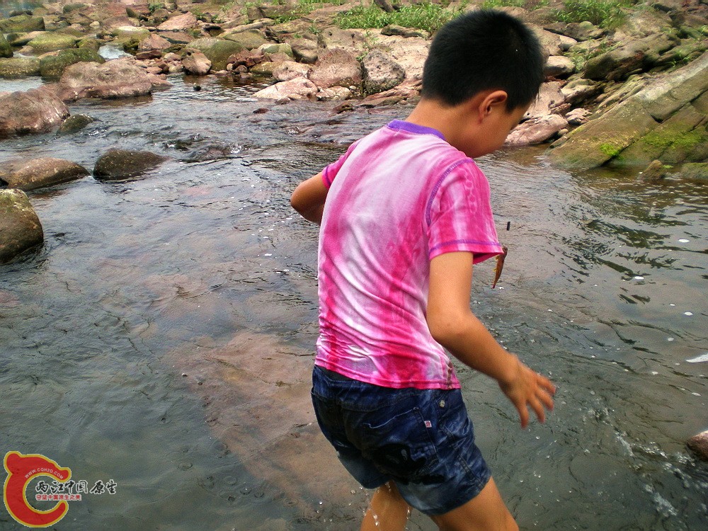 DSCN3084.jpg
