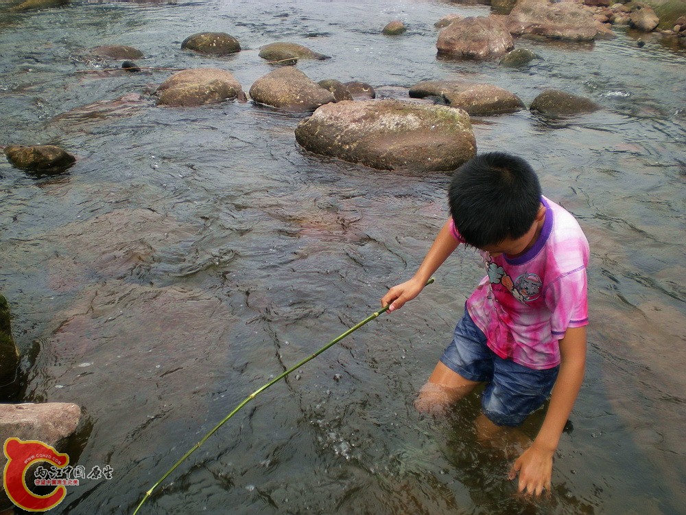 DSCN3085.jpg
