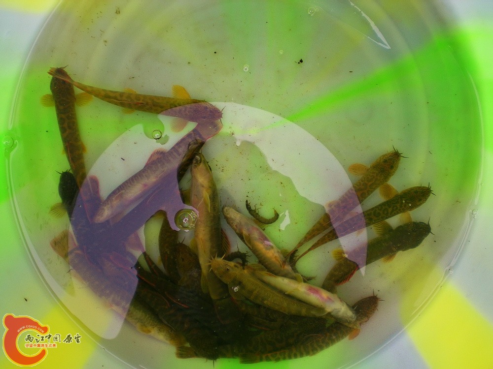 DSCN3095.jpg