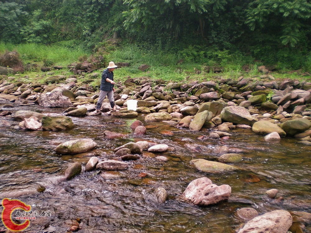 DSCN3099.jpg