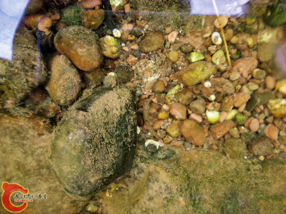 DSCN3108.jpg