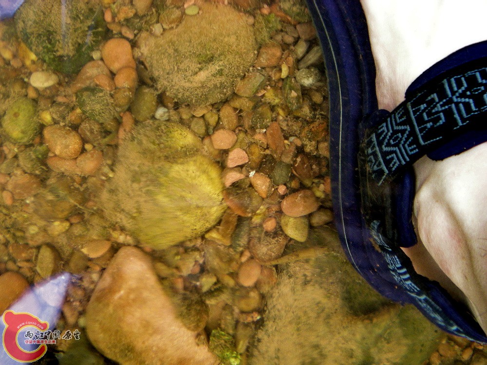 DSCN3109.jpg