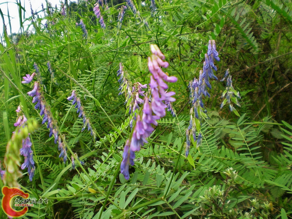 DSCN3102.jpg